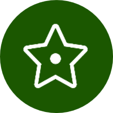 チームのパフォーマンスを推進する